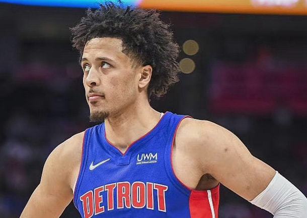 传统优势区 传统优势区